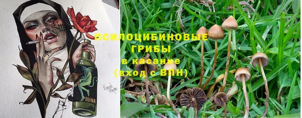 спиды Абаза