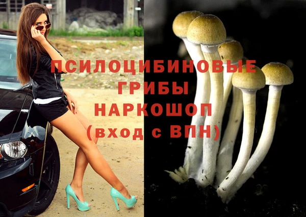 эйфоретик Абинск
