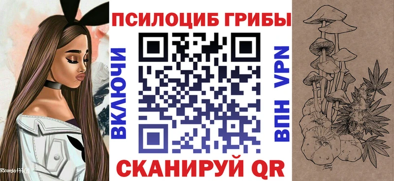 дарнет шоп Тихорецк Галлюциногенные грибы прущие грибы